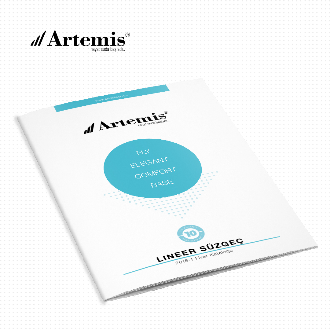 Linear Strainer Catalog Design